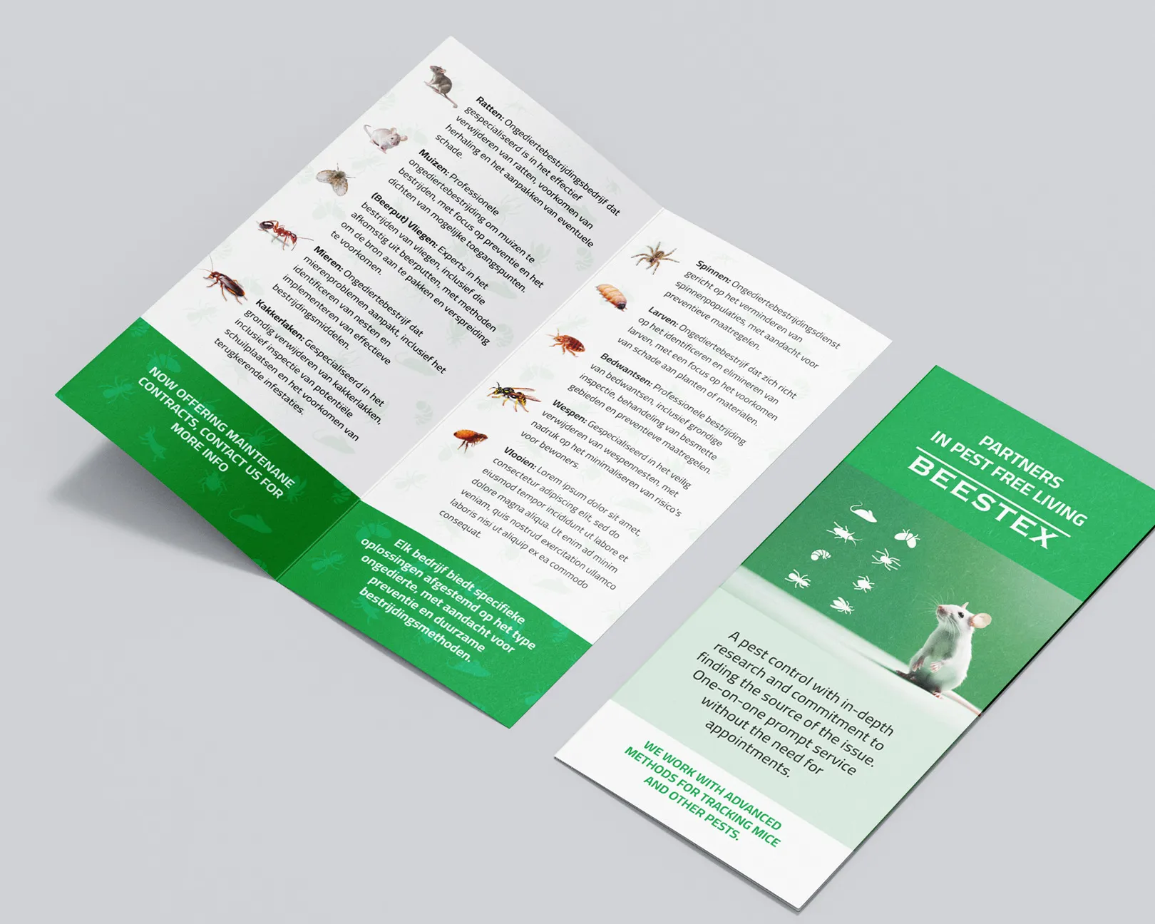 Marketing Materials — 5
